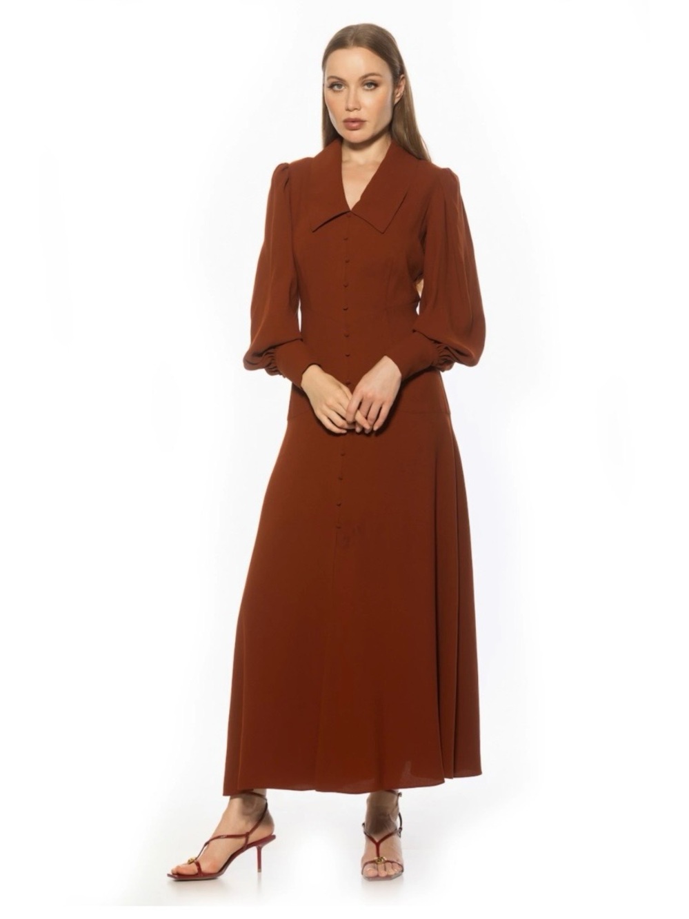 Alexia Admor Rust Maxi Dress with Puff Sleeves